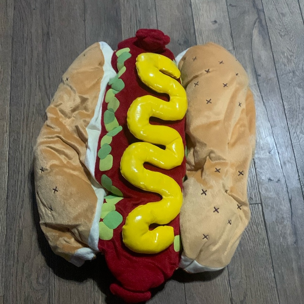 Hotdog Dog Costume. AR